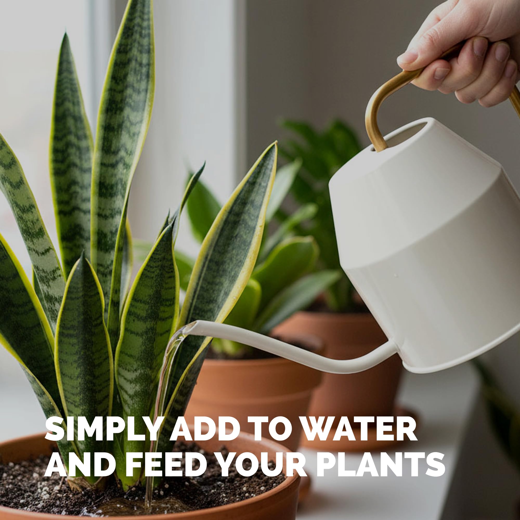 TPS NUTRIENTS greener leaves and vibrant indoor foliage with regular use.