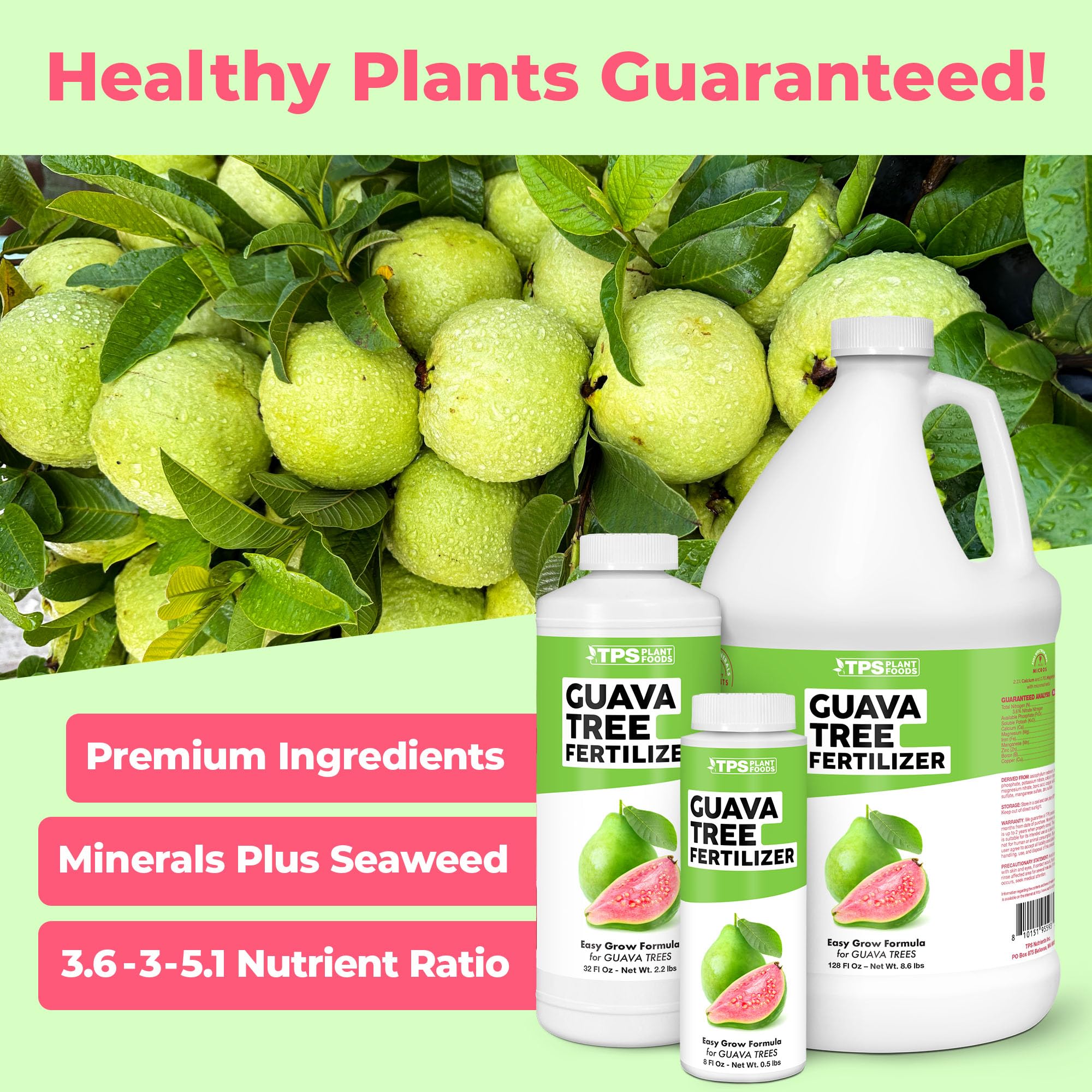 TPS NUTRIENTS Guava Tree Fertilizer flowering stages image showing bloom potential.