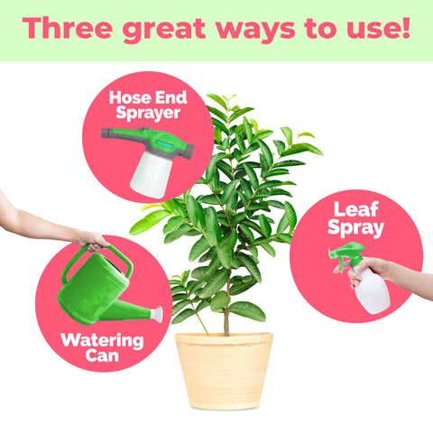 TPS NUTRIENTS Guava Tree Fertilizer container use demonstrates versatility for small spaces.