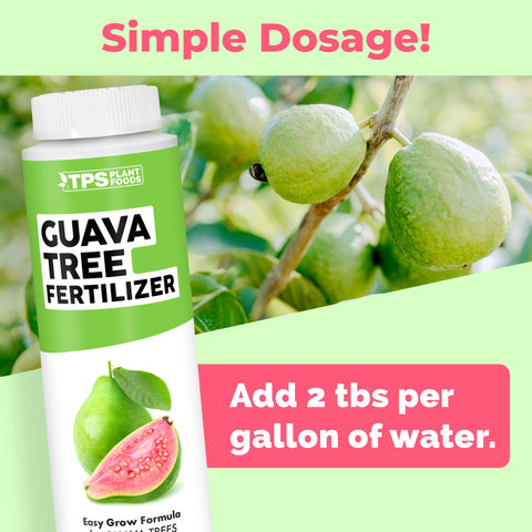 TPS NUTRIENTS Guava Tree Fertilizer promotes fruit development and consistent fruit set.