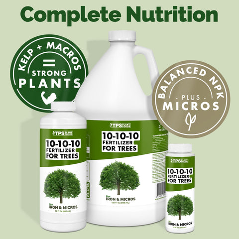 Lush green foliage on trees and shrubs after TPS NUTRIENTS feeding.
