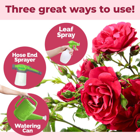 TPS NUTRIENTS healthy rose leaves after feeding with balanced nutrition.