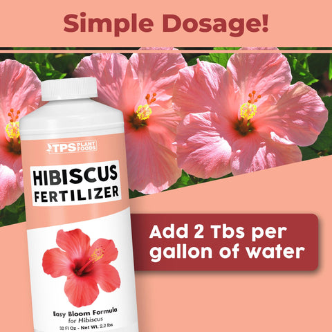 TPS NUTRIENTS Hibiscus Fertilizer blooms close-up highlights vibrant color and fuller flowers.