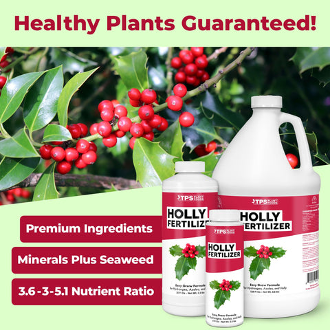 TPS NUTRIENTS Holly Fertilizer leaf detail highlights deep green foliage.