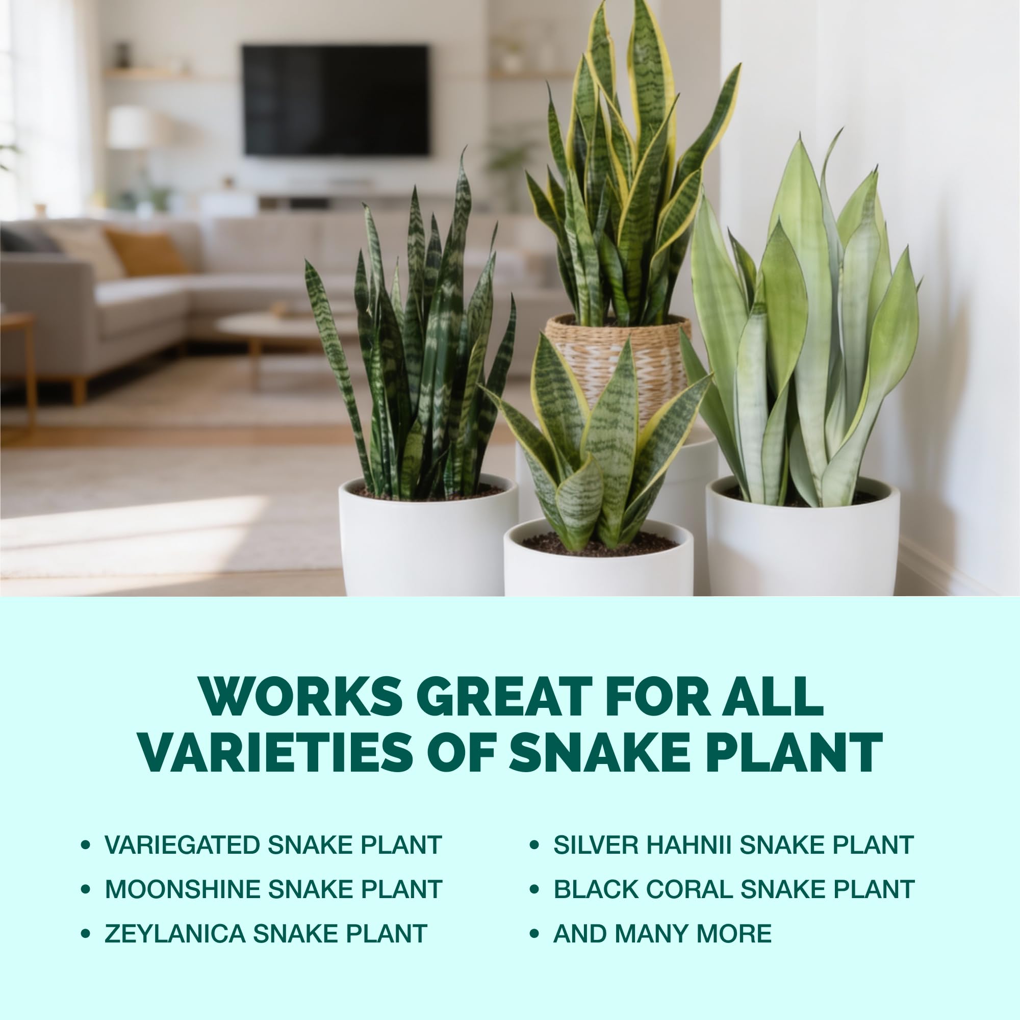 TPS NUTRIENTS easy-to-use fertilizer for container plants
