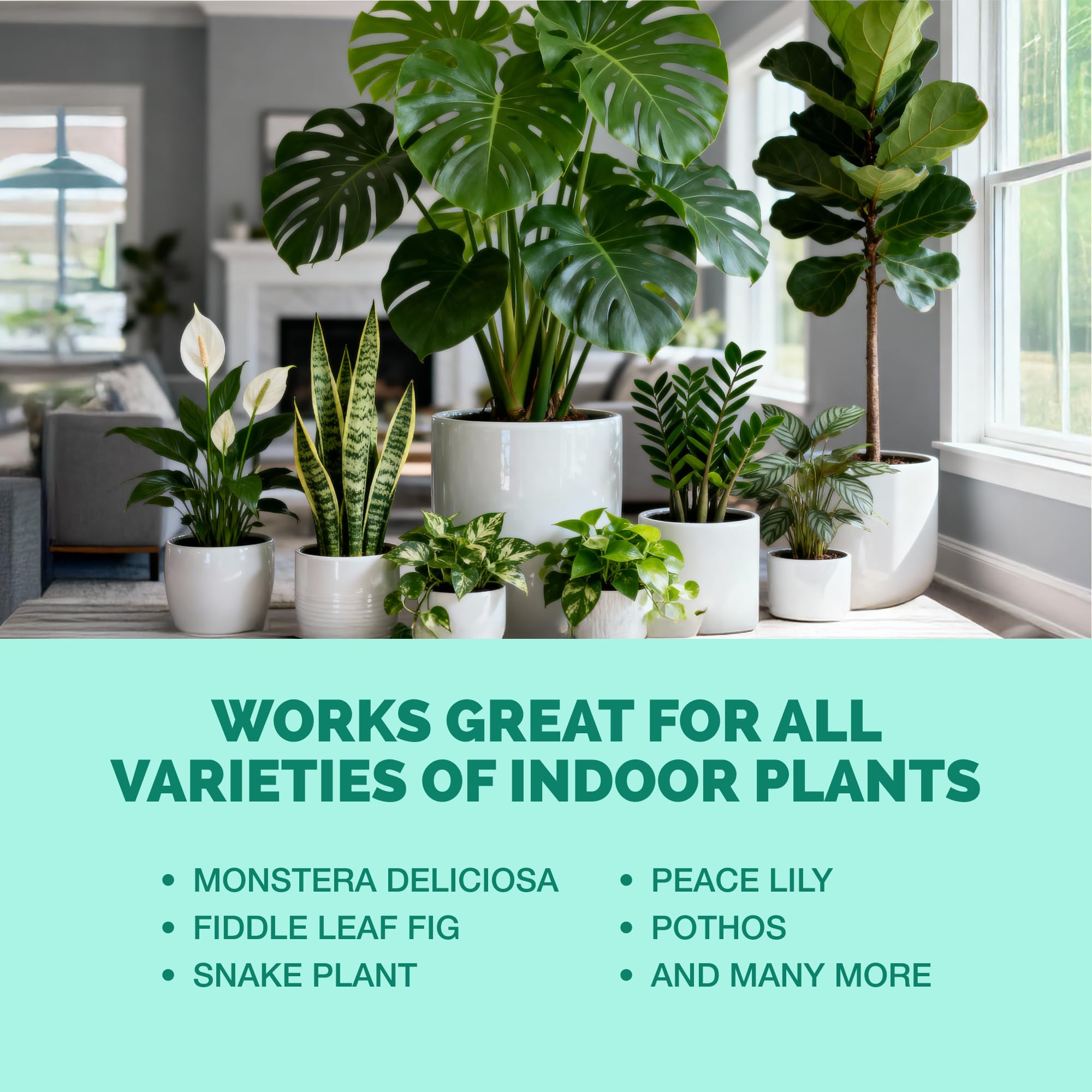 TPS NUTRIENTS indoor plants care in pots and shelves for healthy growth.