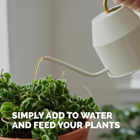TPS NUTRIENTS Hoya indoor use enables steady nutrition for containers.