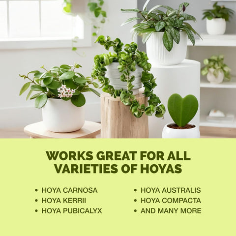 TPS NUTRIENTS Hoya fertilizer made in USA signals quality and dependable sourcing.