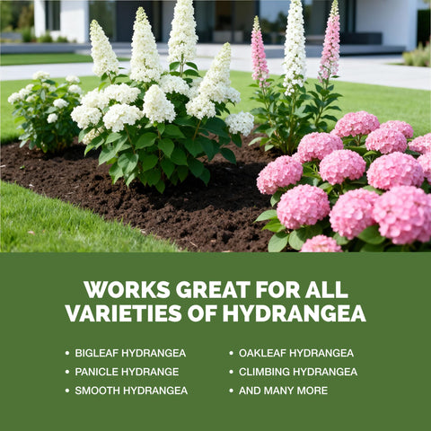 TPS NUTRIENTS Hydrangea Fertilizer container use for patio or border plantings.