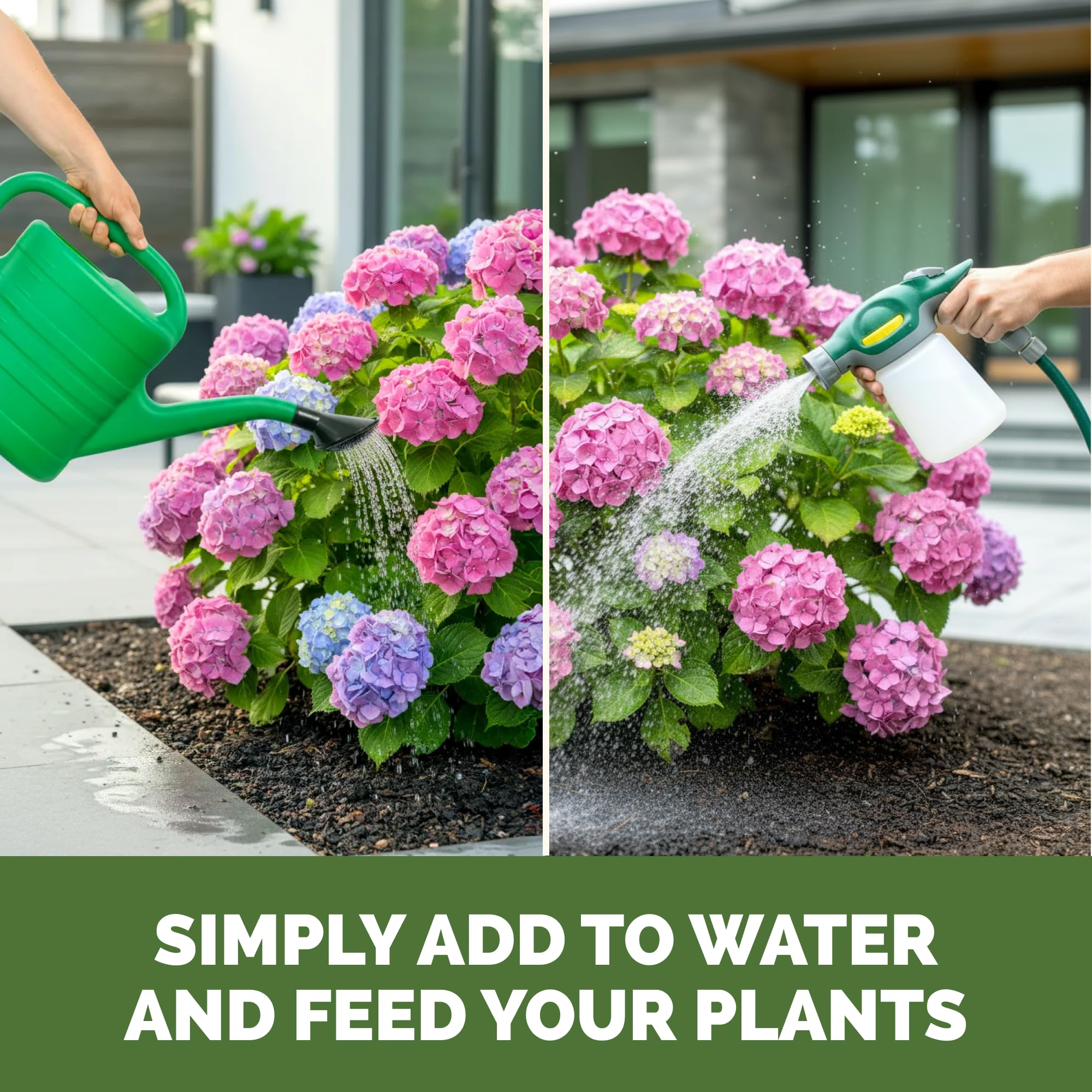 TPS NUTRIENTS Hydrangea Fertilizer garden bed application for steady growth.