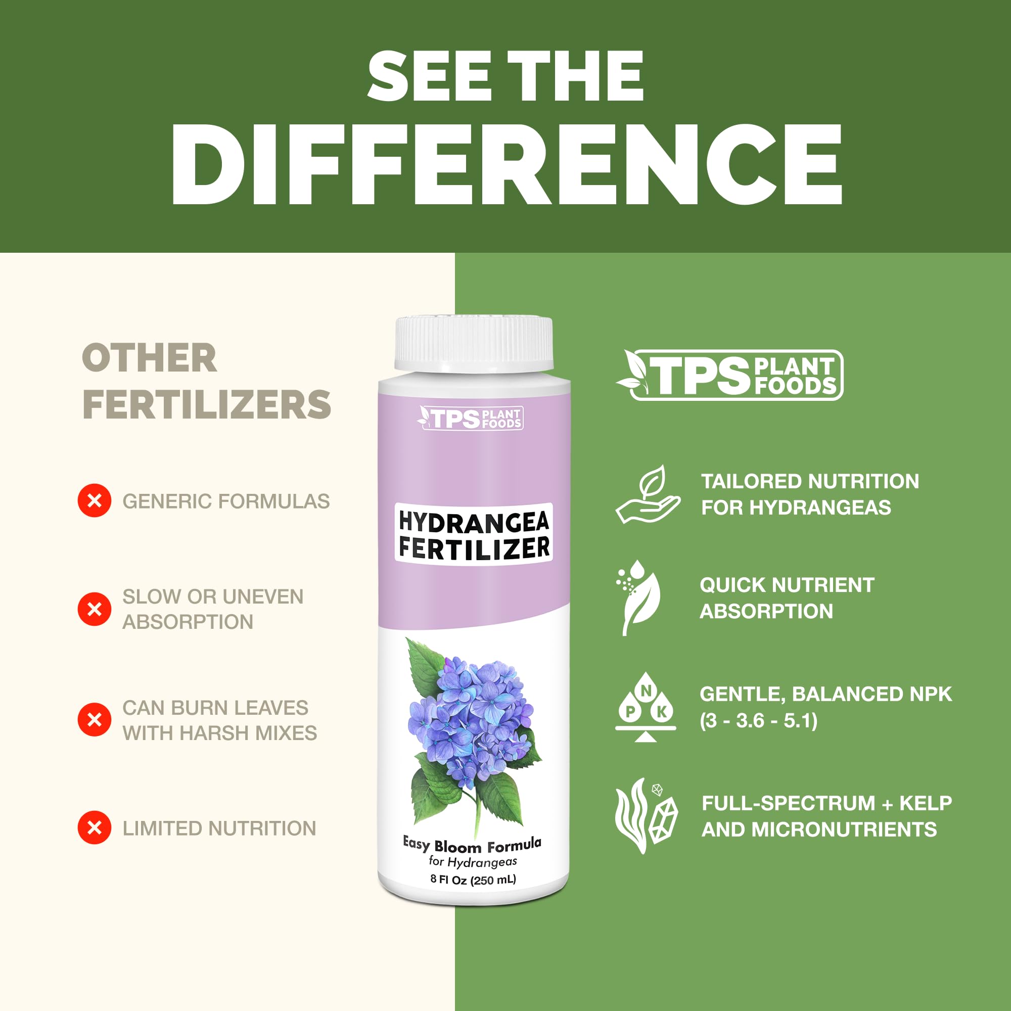 TPS NUTRIENTS Hydrangea green foliage highlights healthy leaves and steady growth.