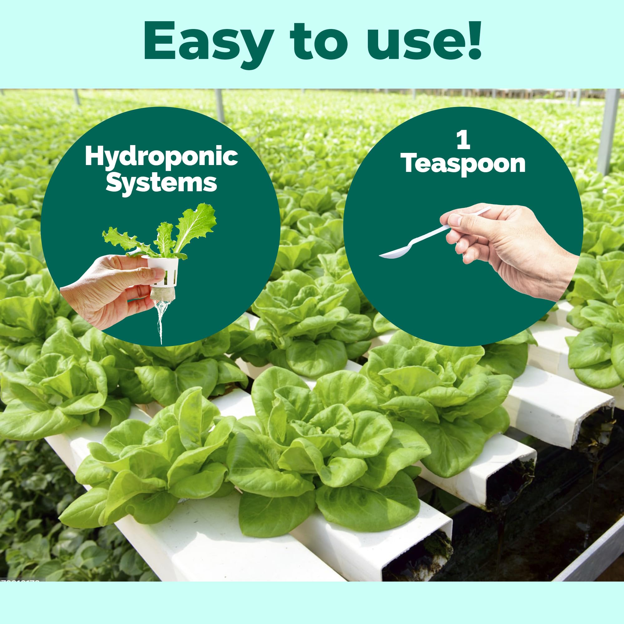 TPS NUTRIENTS used in indoor hydroponic systems.
