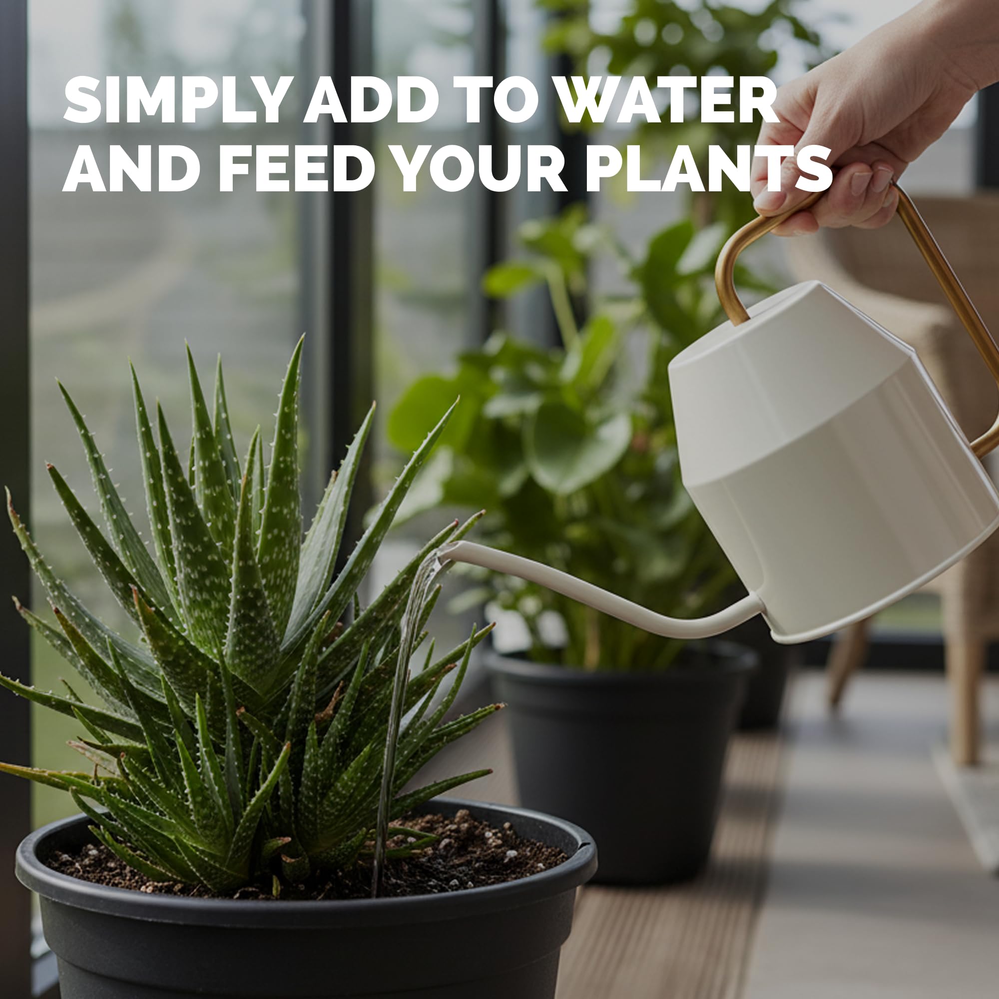 TPS NUTRIENTS Indoor-Outdoor container-use keeps potted aloe thriving indoors or outdoors.
