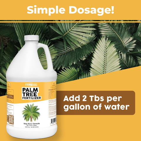 Healthy indoor palm with lush green fronds nourished by TPS NUTRIENTS.