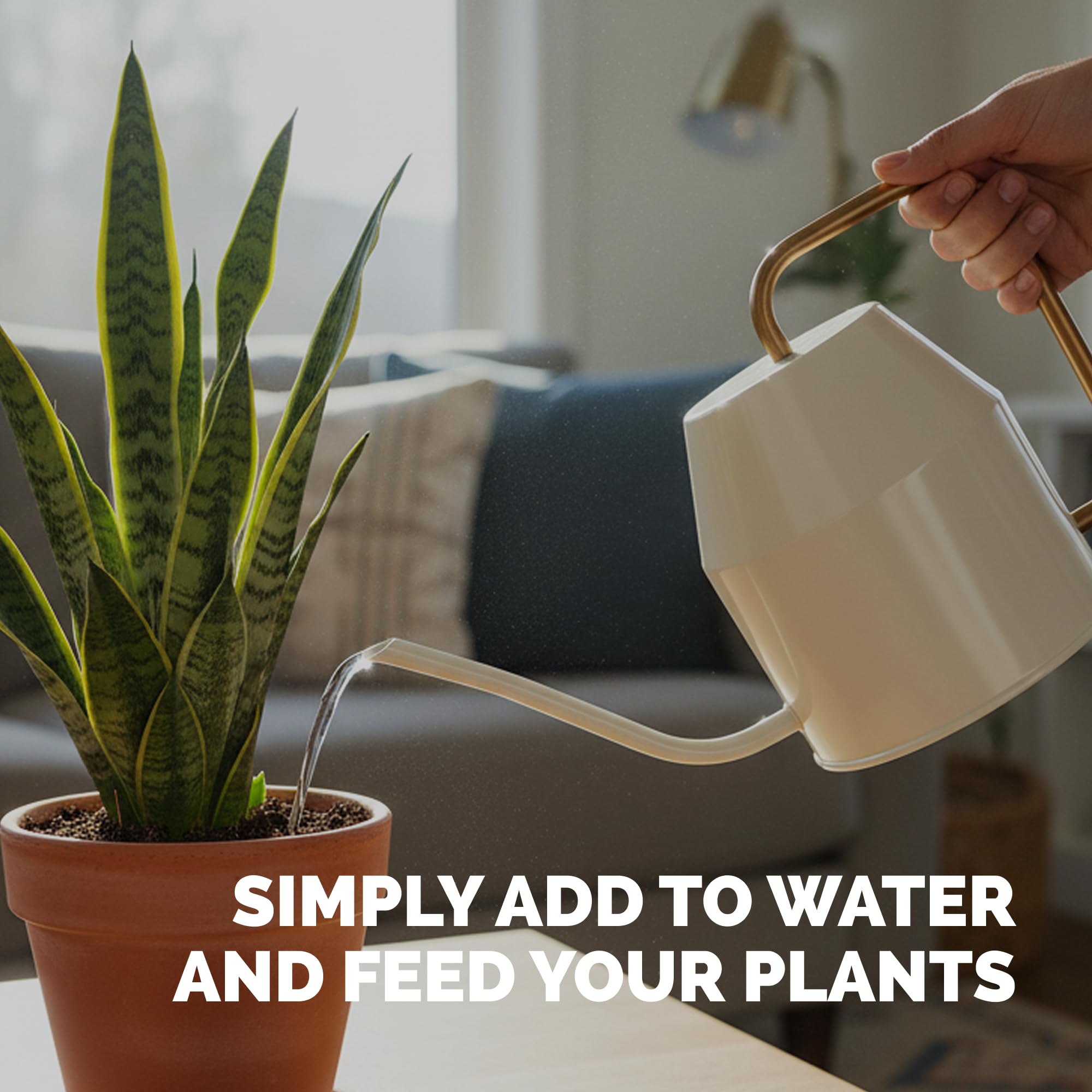 TPS NUTRIENTS indoor plant care for home and office spaces