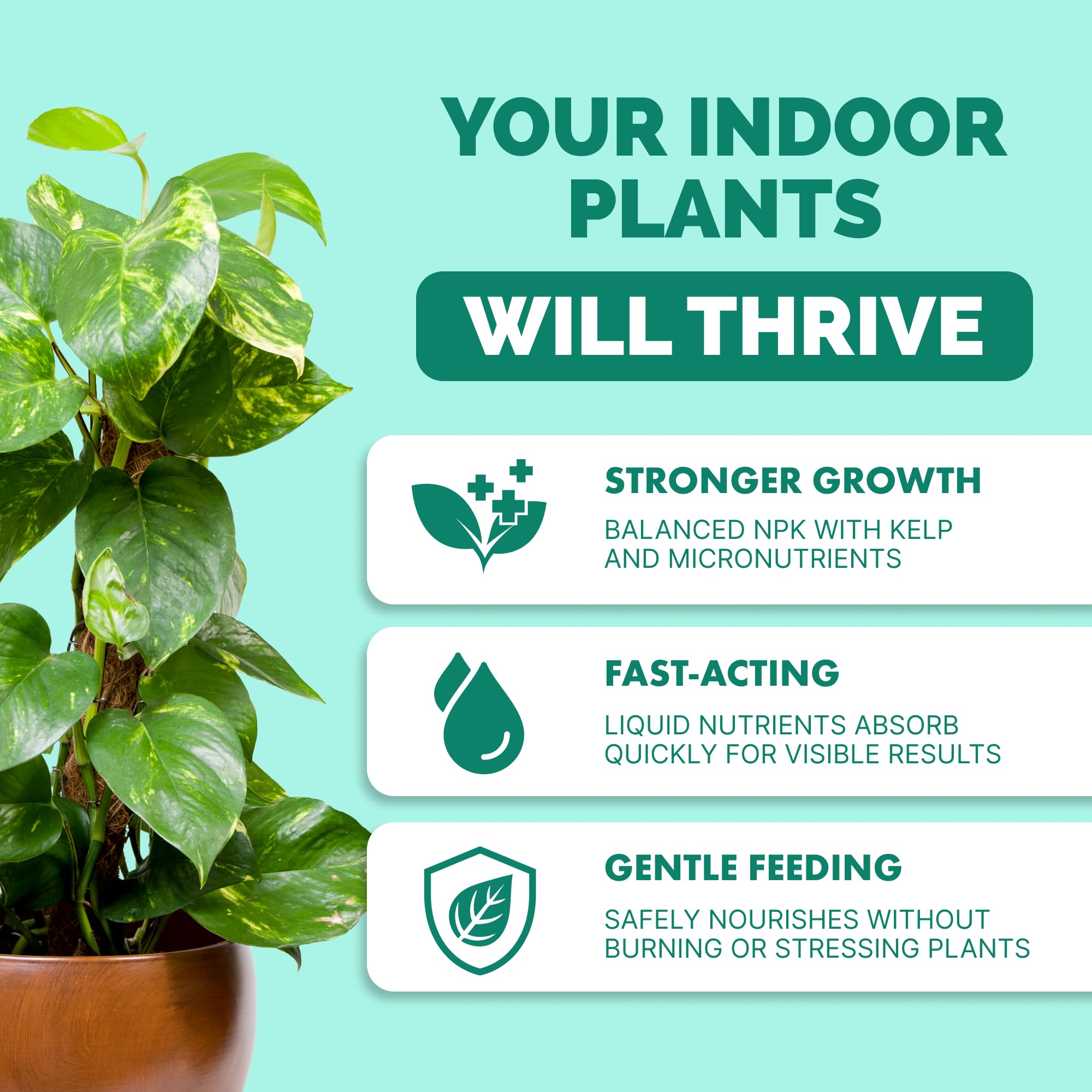 TPS NUTRIENTS Indoor Plant Food bottle label close-up shows premium indoor formula