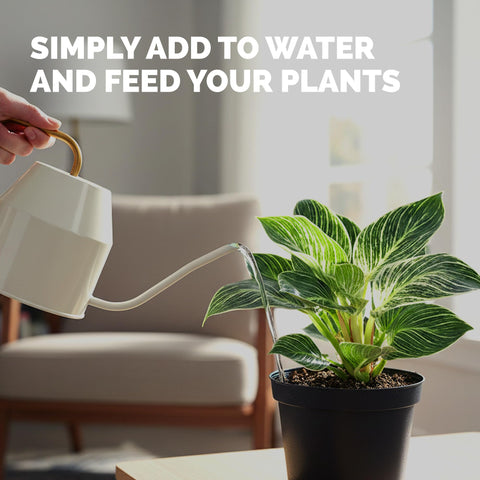 TPS NUTRIENTS indoor plants care setup with philodendron.