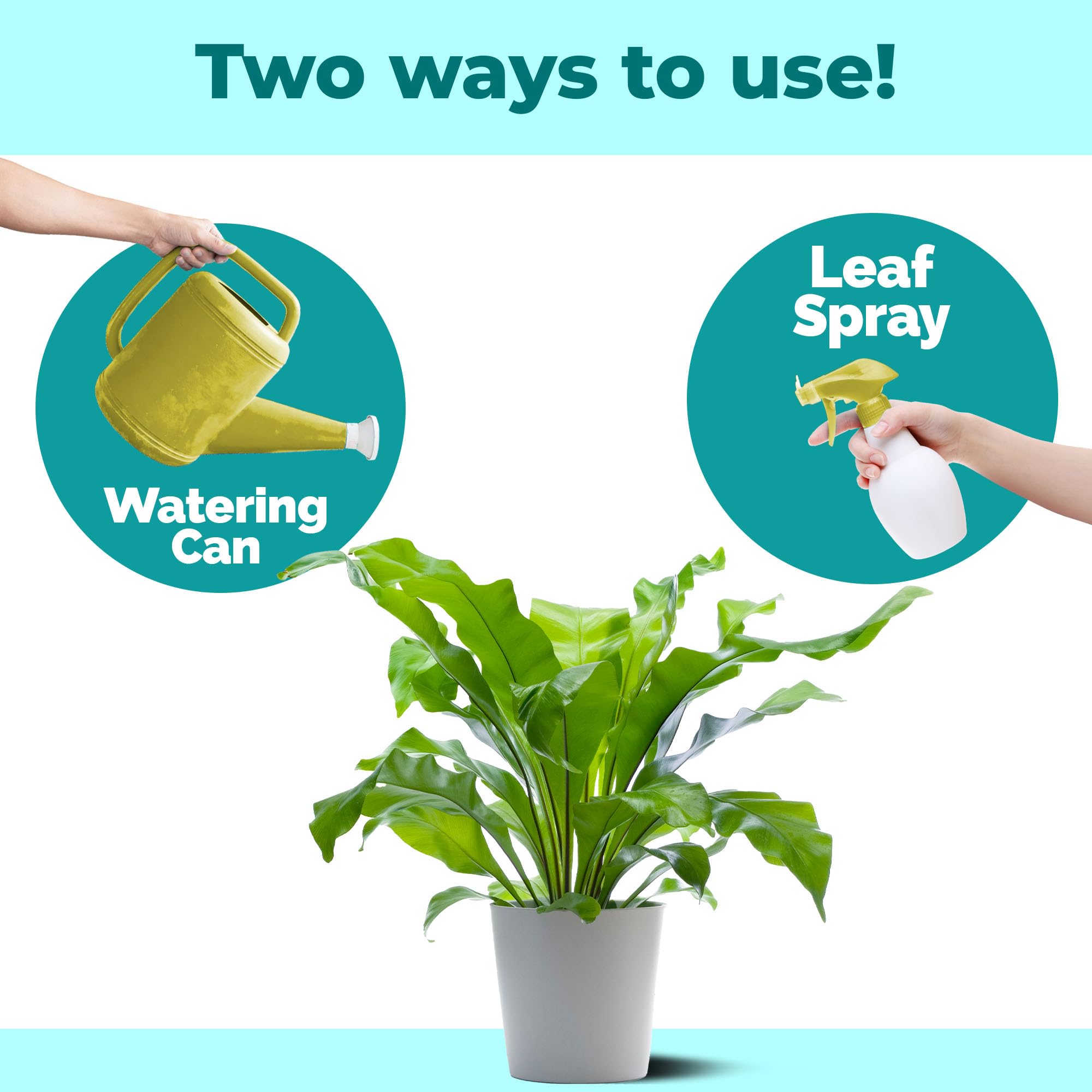 TPS NUTRIENTS Instant Plant Food used in indoor greens for faster vitality