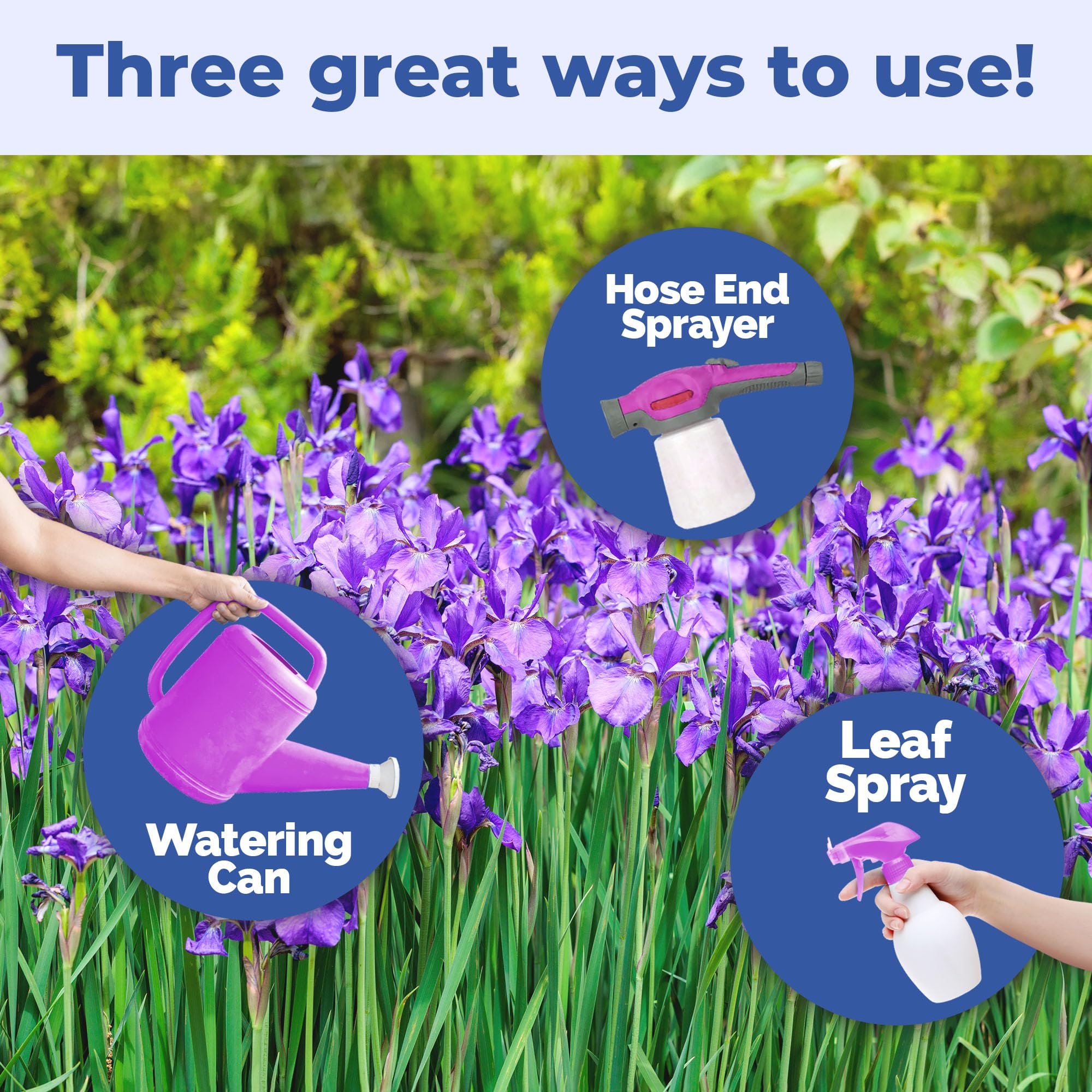 TPS NUTRIENTS Iris Fertilizer sprayer application across iris beds.