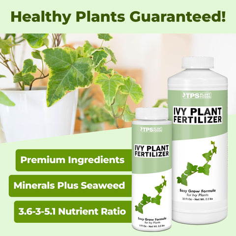 TPS NUTRIENTS Ivy Plant Food dispensing pour demonstrates easy application