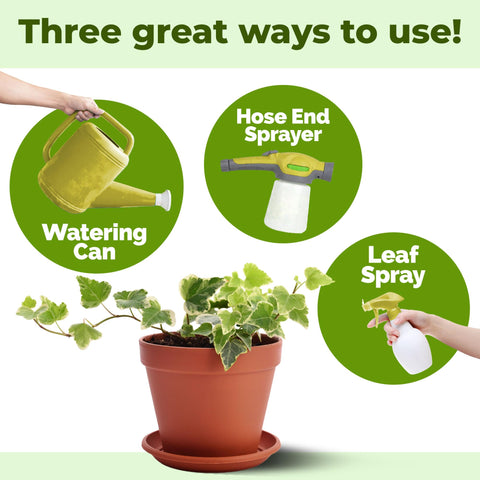 TPS NUTRIENTS Ivy trailing vines illustrates healthy growth