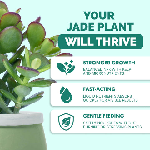 TPS NUTRIENTS Jade Fertilizer drops close-up showing precise dosing