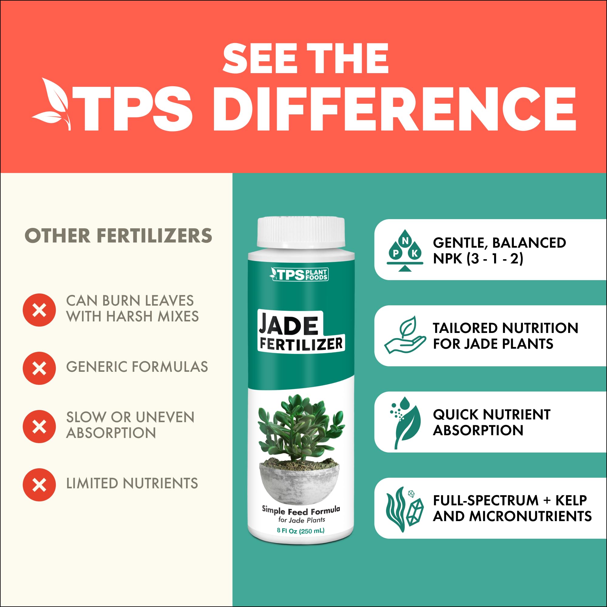 TPS NUTRIENTS Jade plant thriving in an indoor container setup