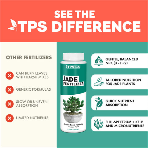 TPS NUTRIENTS Jade plant thriving in an indoor container setup