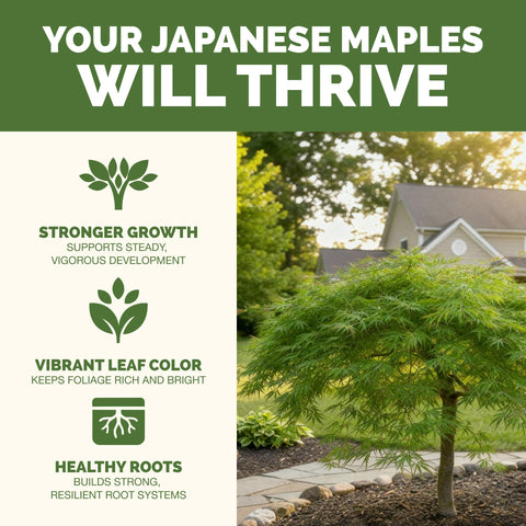 TPS NUTRIENTS Japanese Maple Fertilizer label closeup with clear application guidance.