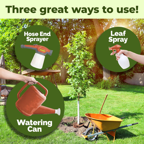 TPS NUTRIENTS Landscape maple application in a residential yard.