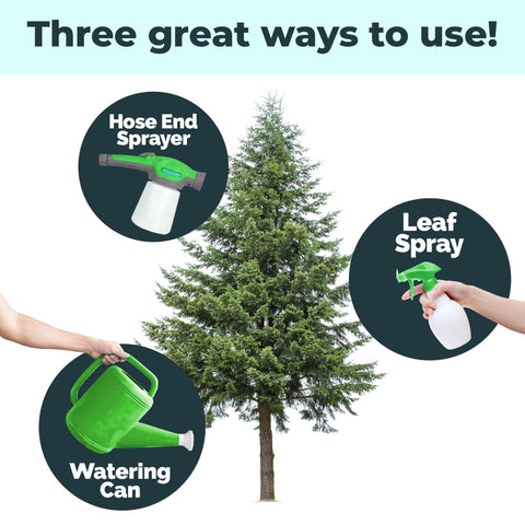 Landscape spruce growth boosted by targeted TPS NUTRIENTS fertilizer in the garden.