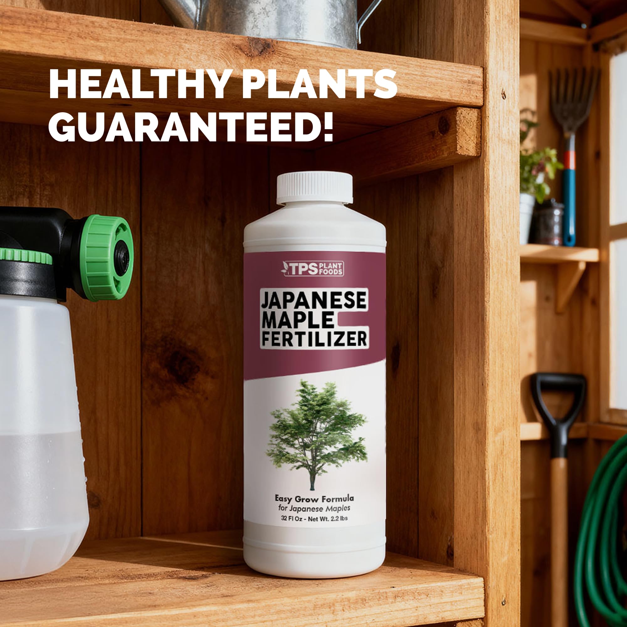 TPS NUTRIENTS leaf color vibrant maple highlights foliage color improvement.