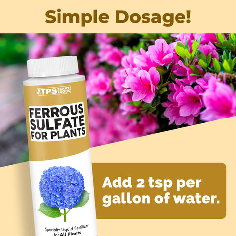 TPS NUTRIENTS leaves glow with healthier color after iron boost.