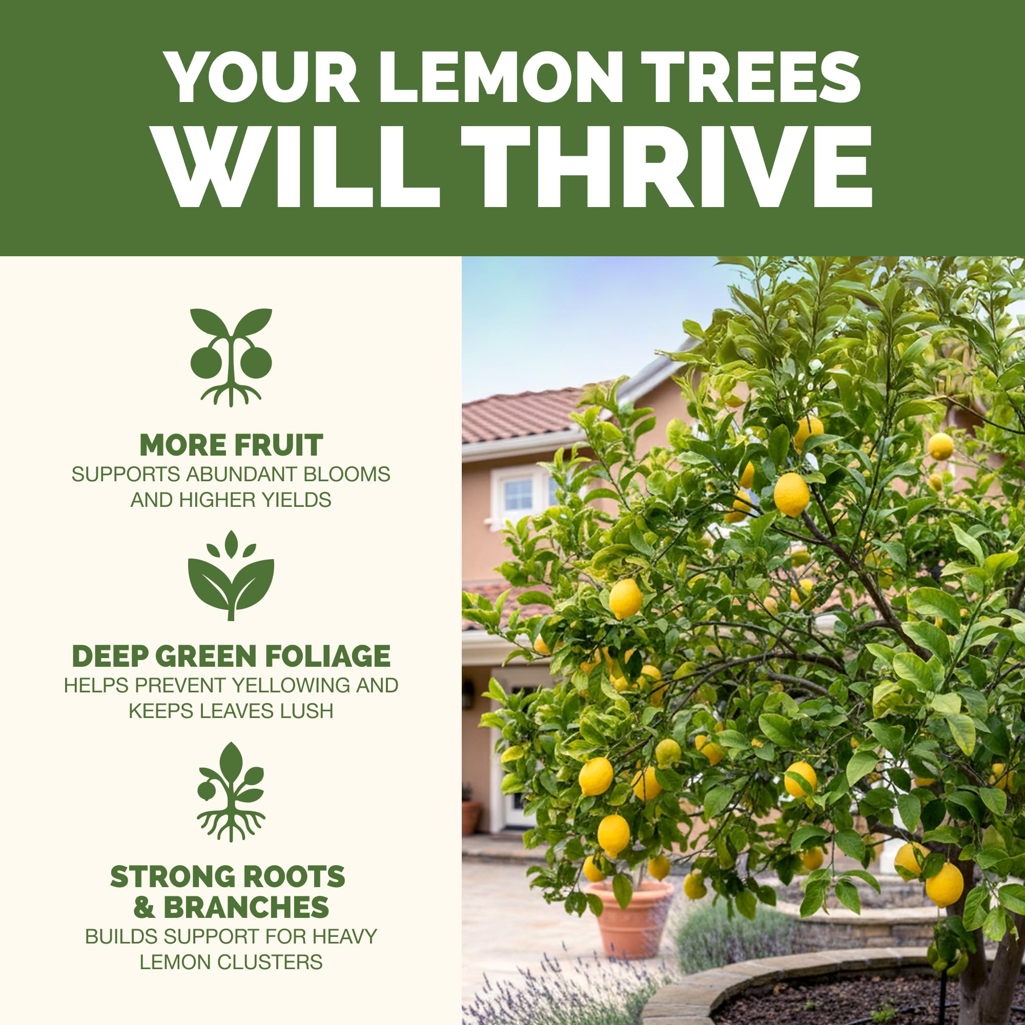 TPS NUTRIENTS Lemon Tree Fertilizer label closeup shows trusted citrus friendly ingredients.