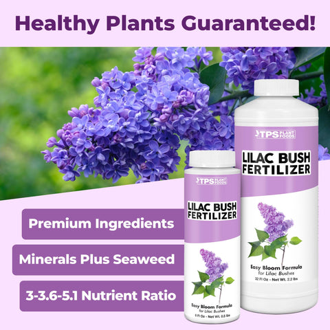 TPS NUTRIENTS Lilac Fertilizer bloom closeup showing vibrant flowers