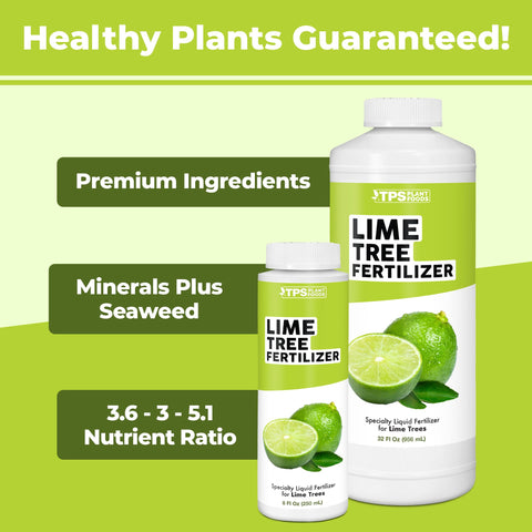 TPS NUTRIENTS Lime Tree Fertilizer used in a garden bed to boost fruit set.