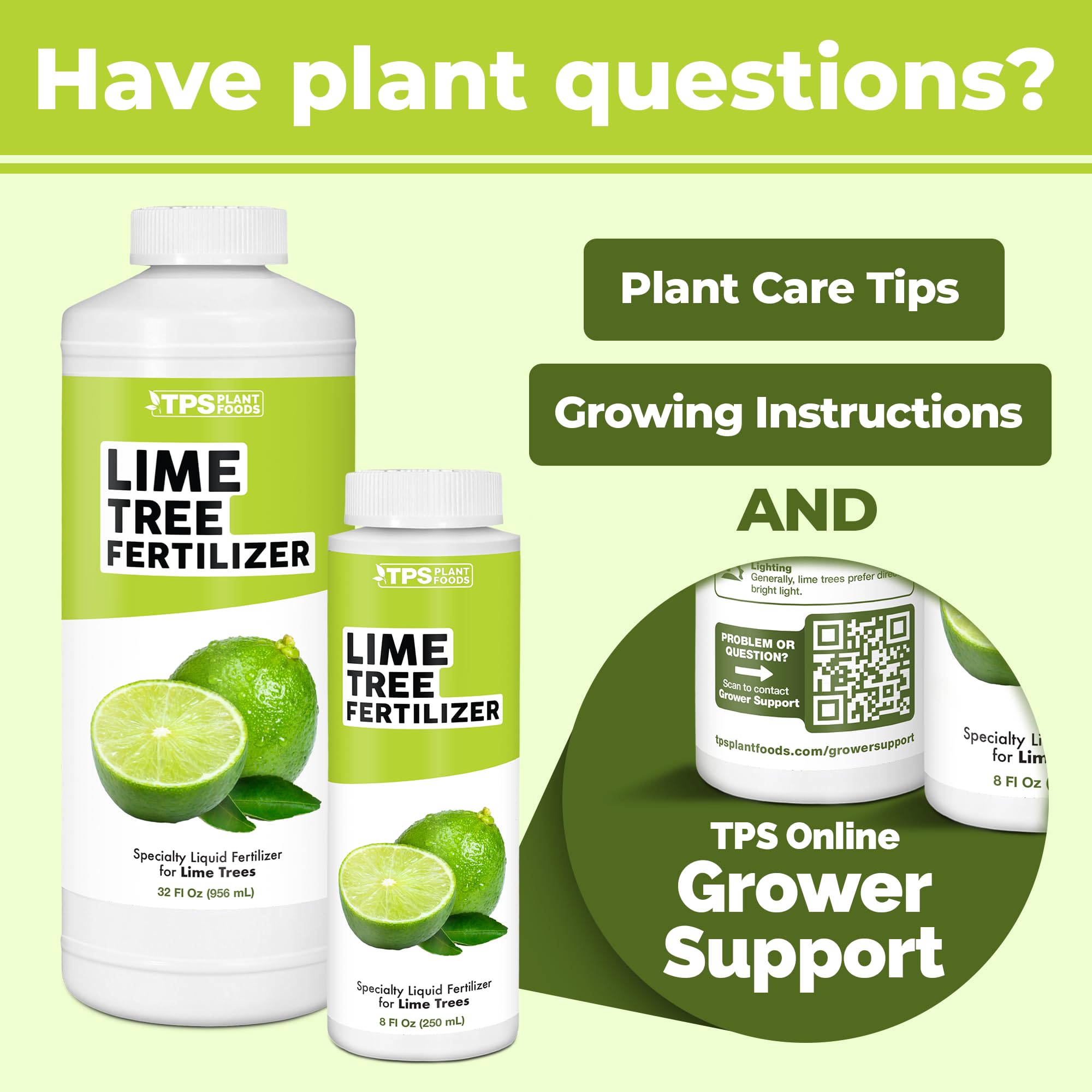 Lime trees in an orchard receiving TPS NUTRIENTS fertilizer for stronger trees.
