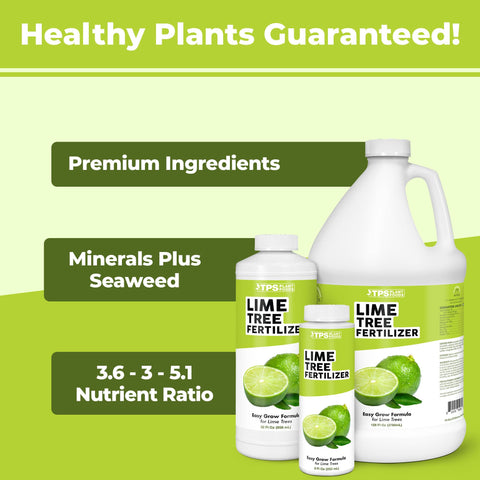 Close-up of the TPS NUTRIENTS Lime Tree Fertilizer label showing balanced citrus nutrients.