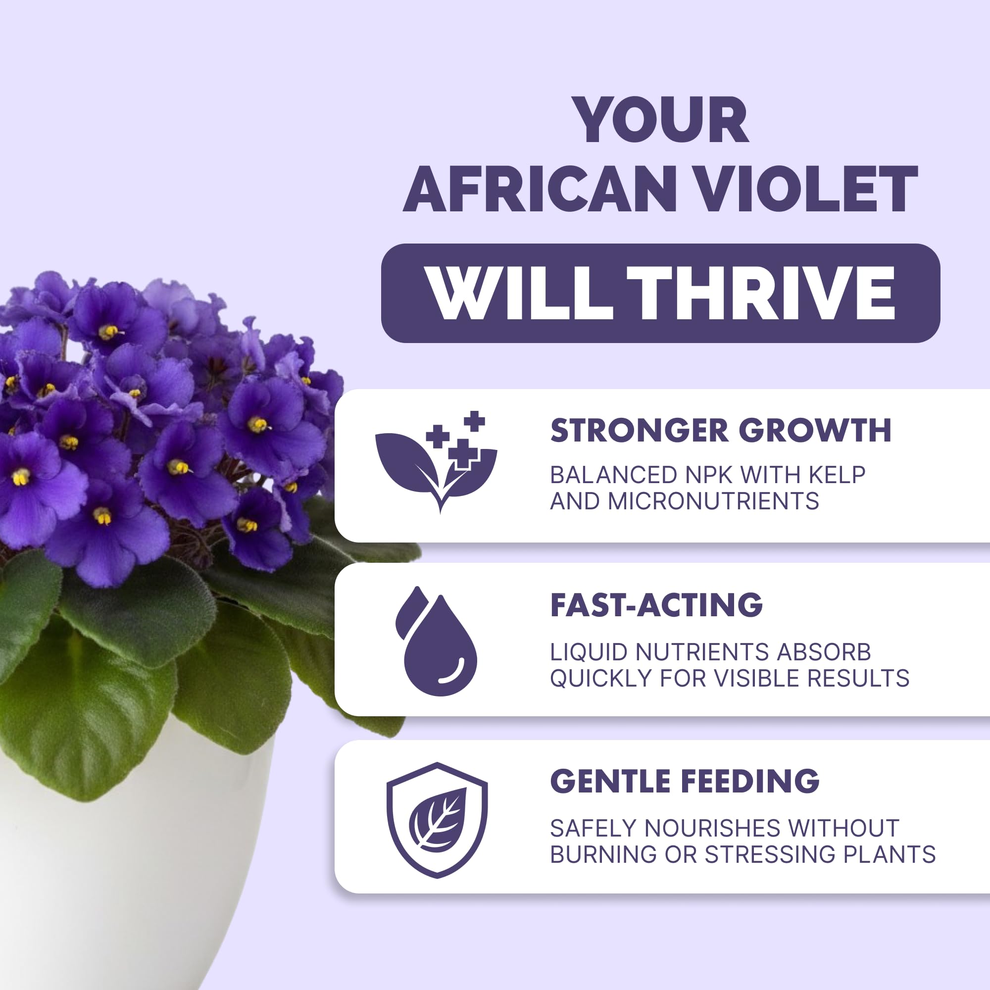 TPS NUTRIENTS Liquid African Violet Food being poured for even feeding.