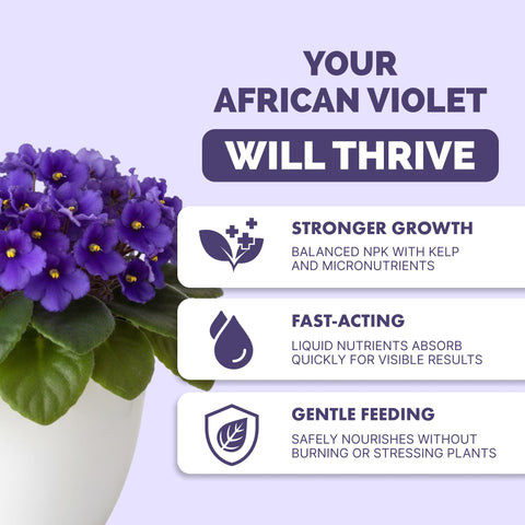 TPS NUTRIENTS Liquid African Violet Food being poured for even feeding.