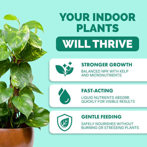 TPS NUTRIENTS liquid fertilizer drench applied to soil to boost nutrient uptake.