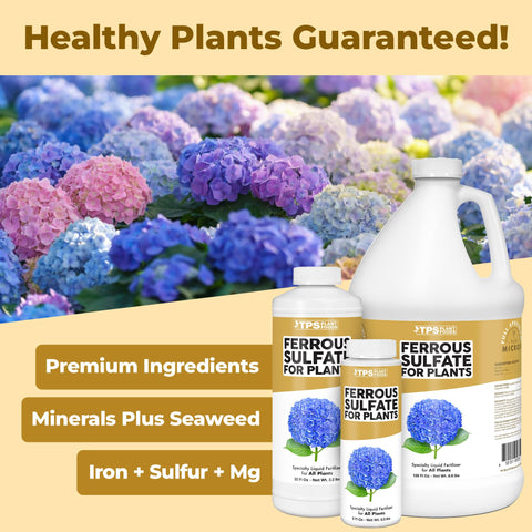 TPS NUTRIENTS liquid iron supports chlorophyll and leaf health.