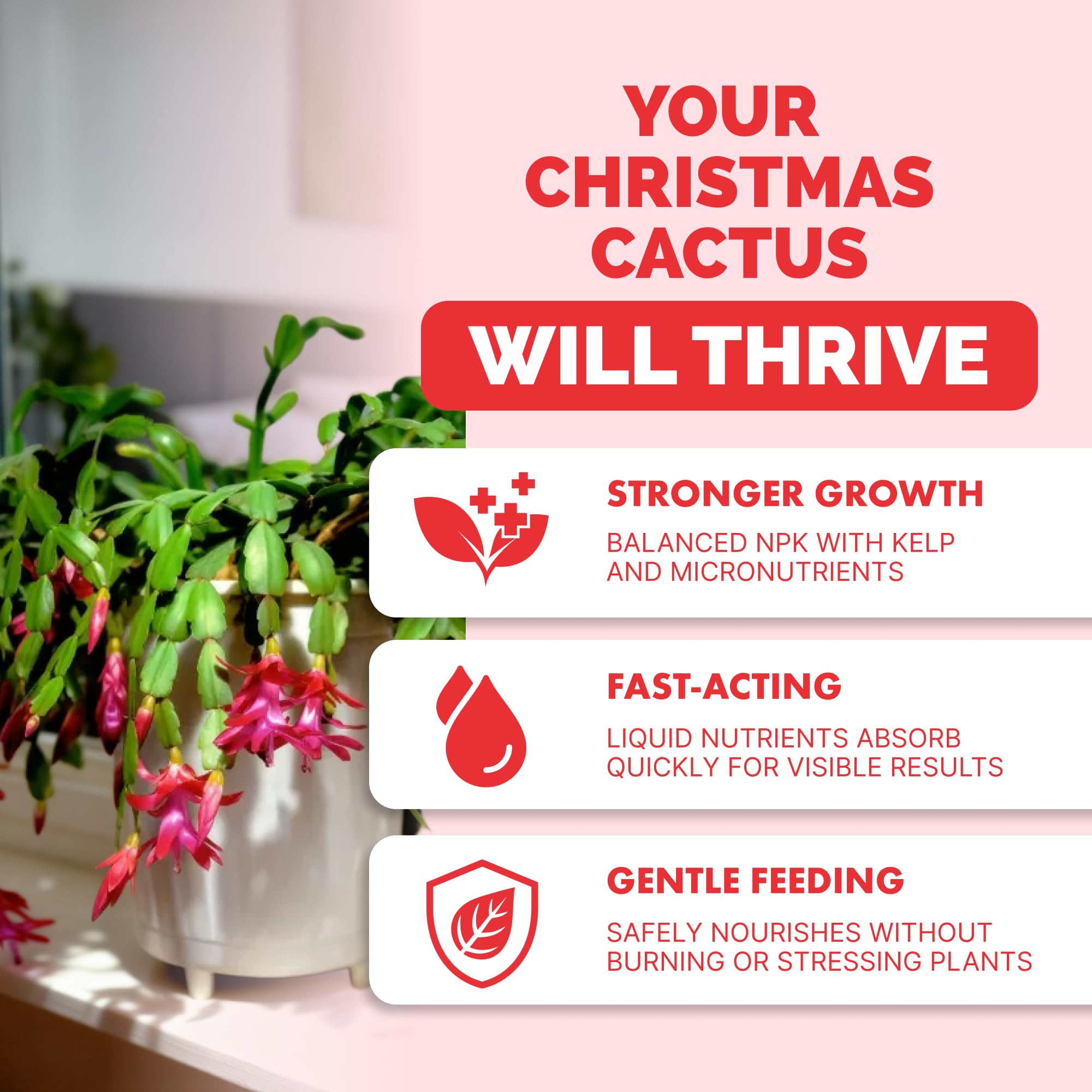TPS NUTRIENTS liquid plant food boosts bloom color in holiday cacti