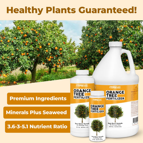 TPS NUTRIENTS liquid plant food being poured around orange trees to nourish soil