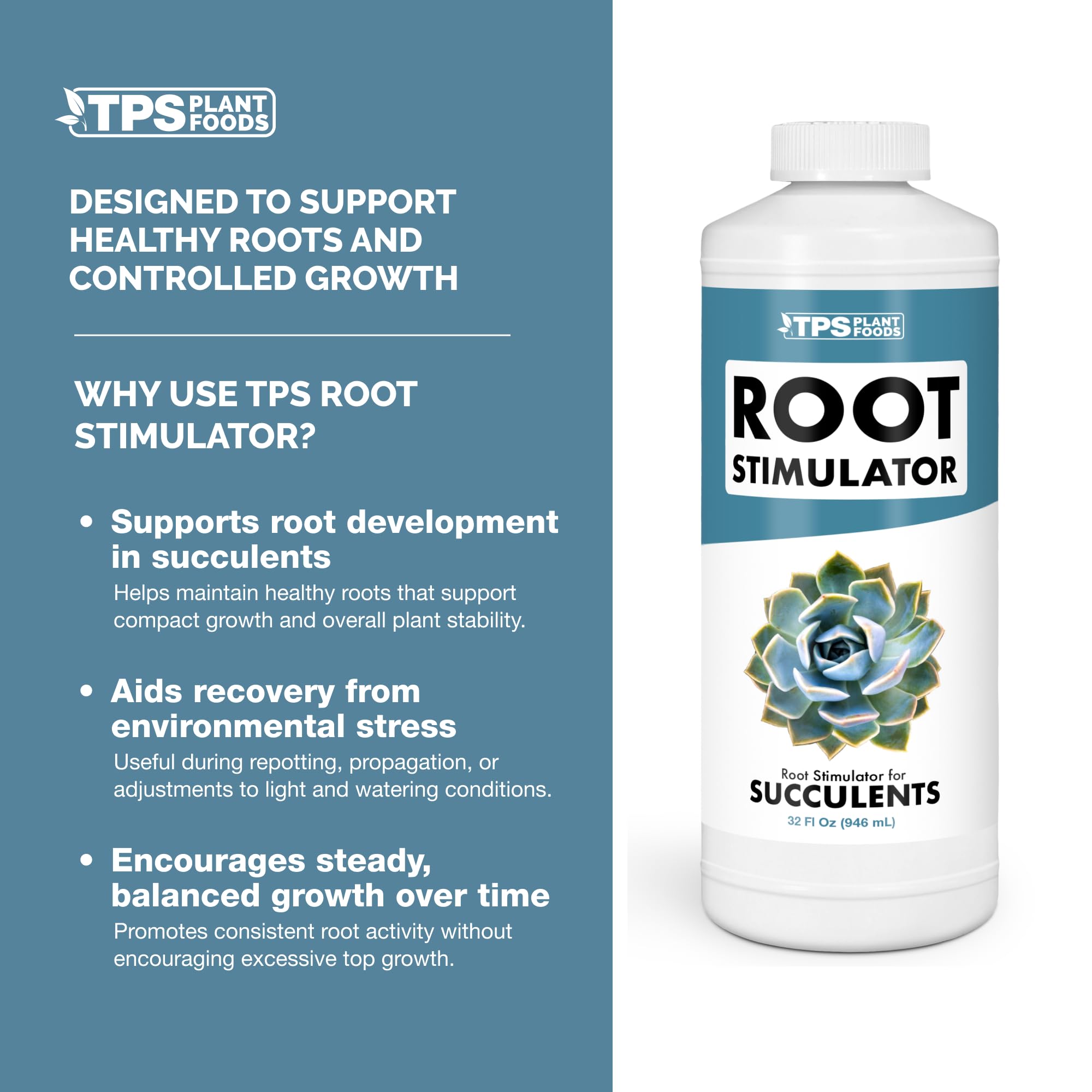 TPS NUTRIENTS Liquid rooting solution shown during succulent propagation with cuttings.