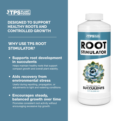 TPS NUTRIENTS Liquid rooting solution shown during succulent propagation with cuttings.