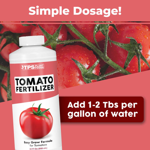 TPS NUTRIENTS liquid tomato plant food in use for steady feeding and even fruit set