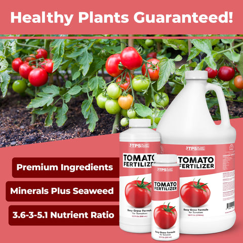 TPS NUTRIENTS Liquid Tomato Food pour, precise application for steady fruit development