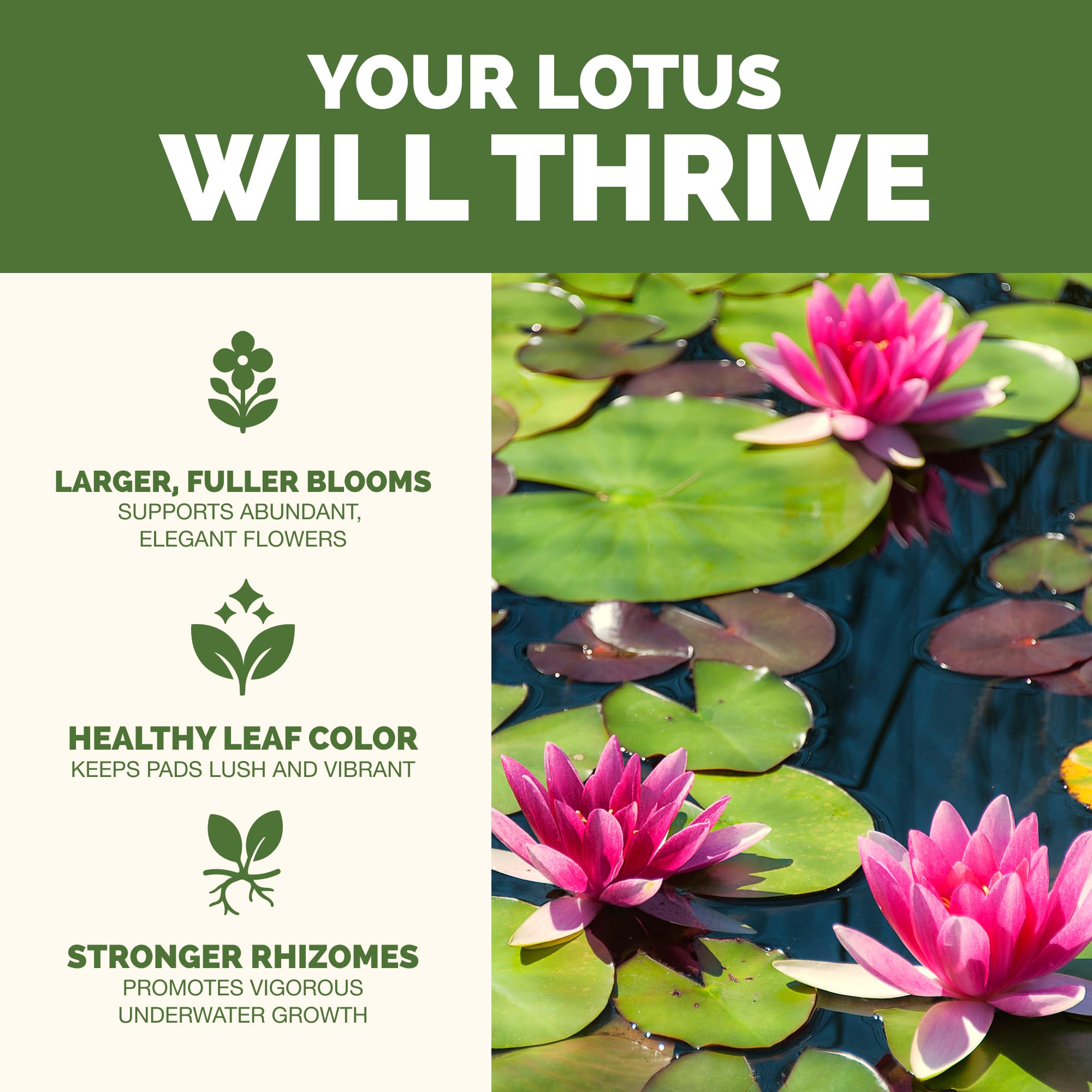 TLS NUTRIENTS Lotus Fertilizer label closeup showing product details