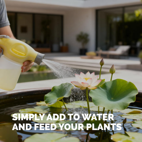 TPS NUTRIENTS Lotus Fertilizer nourishes roots in containers
